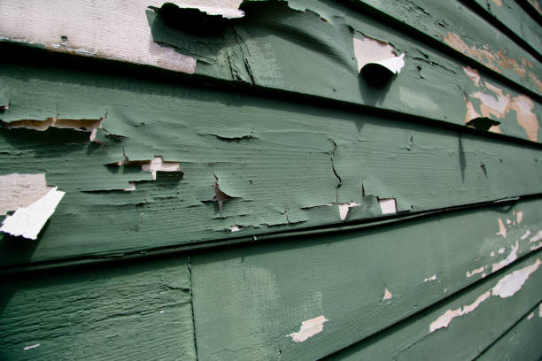 Affordable Siding Repair and Maintenance Services in Ranlo, NC